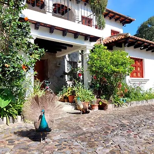  Hotel Y Jardines Casa Buho Guatemala